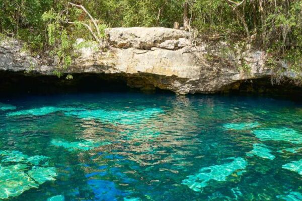 Cenote and Yalku Tour