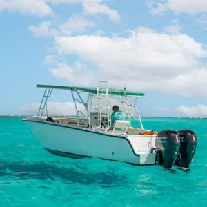 Whale Shark Adventure