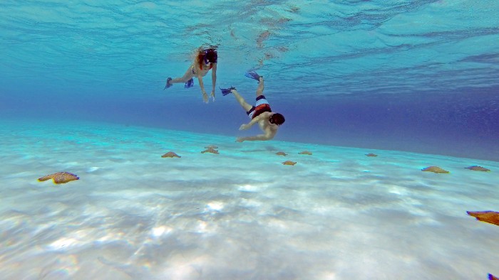 Cozumel El Cielo Snorkeling – Awesomecancun