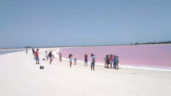 Pink Lake Las Coloradas