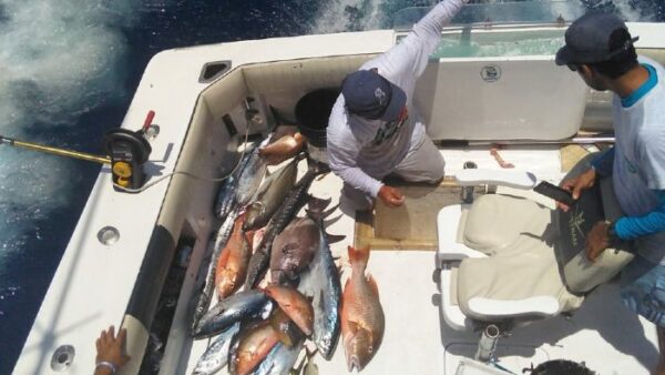 Best Fishing Boats in Cancun